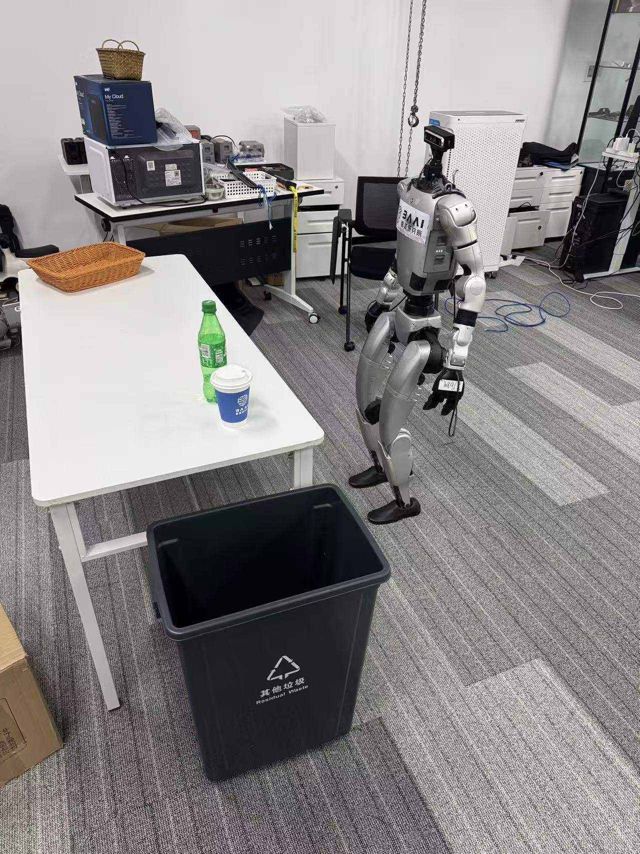 A1 original robot observation